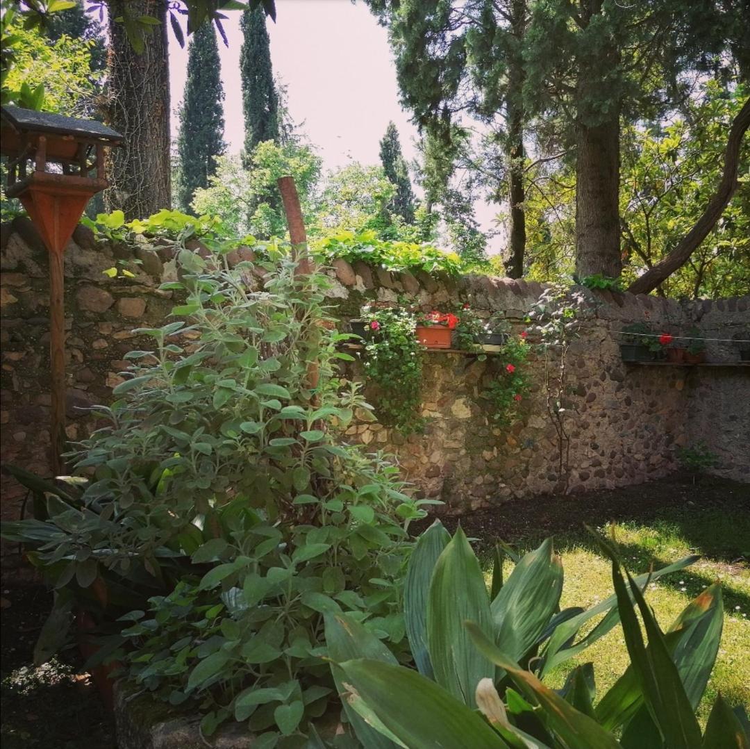 La Casa Di Marzia Apartment Бардолино Екстериор снимка